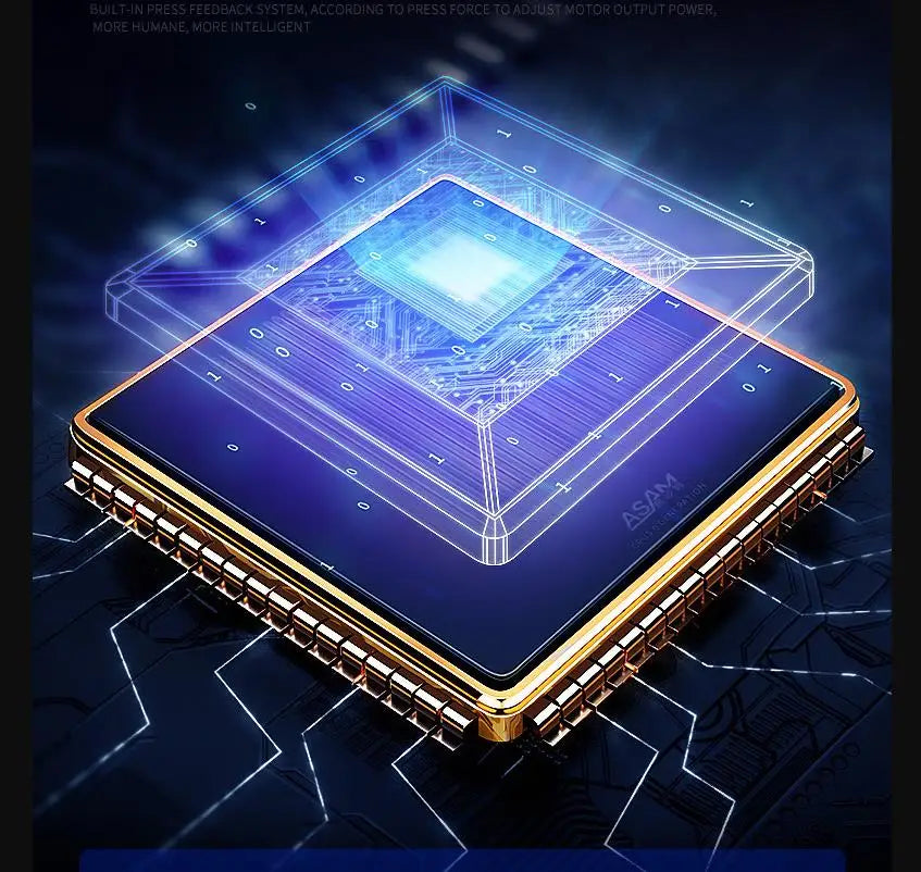 Système de Récupération Musculaire Professionnel