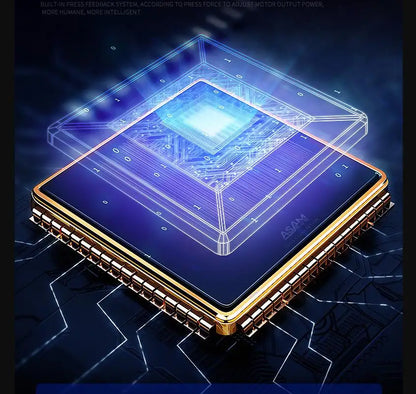 Système de Récupération Musculaire Professionnel